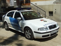 skoda386.jpg