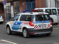 skoda449.jpg