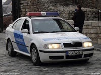 skoda461.jpg