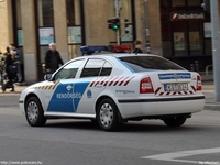 skoda464.jpg