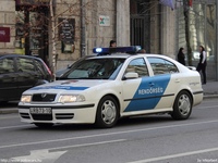 skoda467.jpg