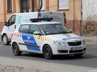 skoda483.jpg