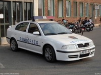 skoda489.jpg