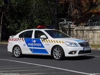 skoda513.jpg