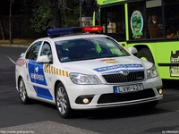 skoda515.jpg