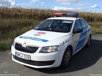 skoda520.jpg
