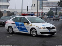 skoda530.jpg