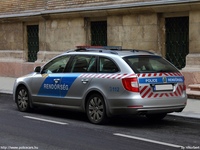 skoda535.jpg