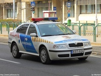 skoda545.jpg