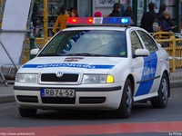 skoda615.jpg