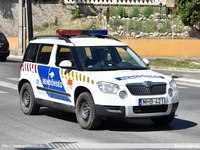 skoda713.jpg