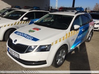 skoda764.jpg