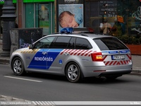 skoda766.jpg