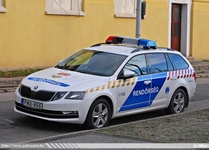 skoda784.jpg