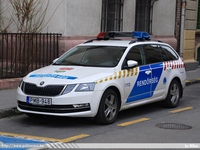 skoda787.jpg