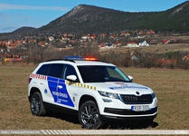 skoda824.jpg