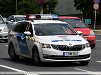 skoda845.jpg