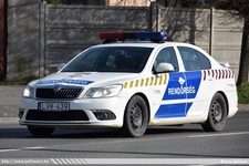 skoda864.jpg