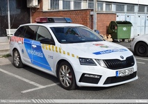 skoda868.jpg