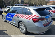 skoda988.jpg
