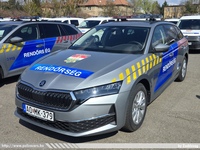 skoda989.jpg