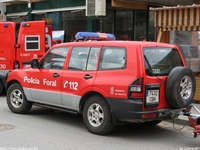 sp239.jpg