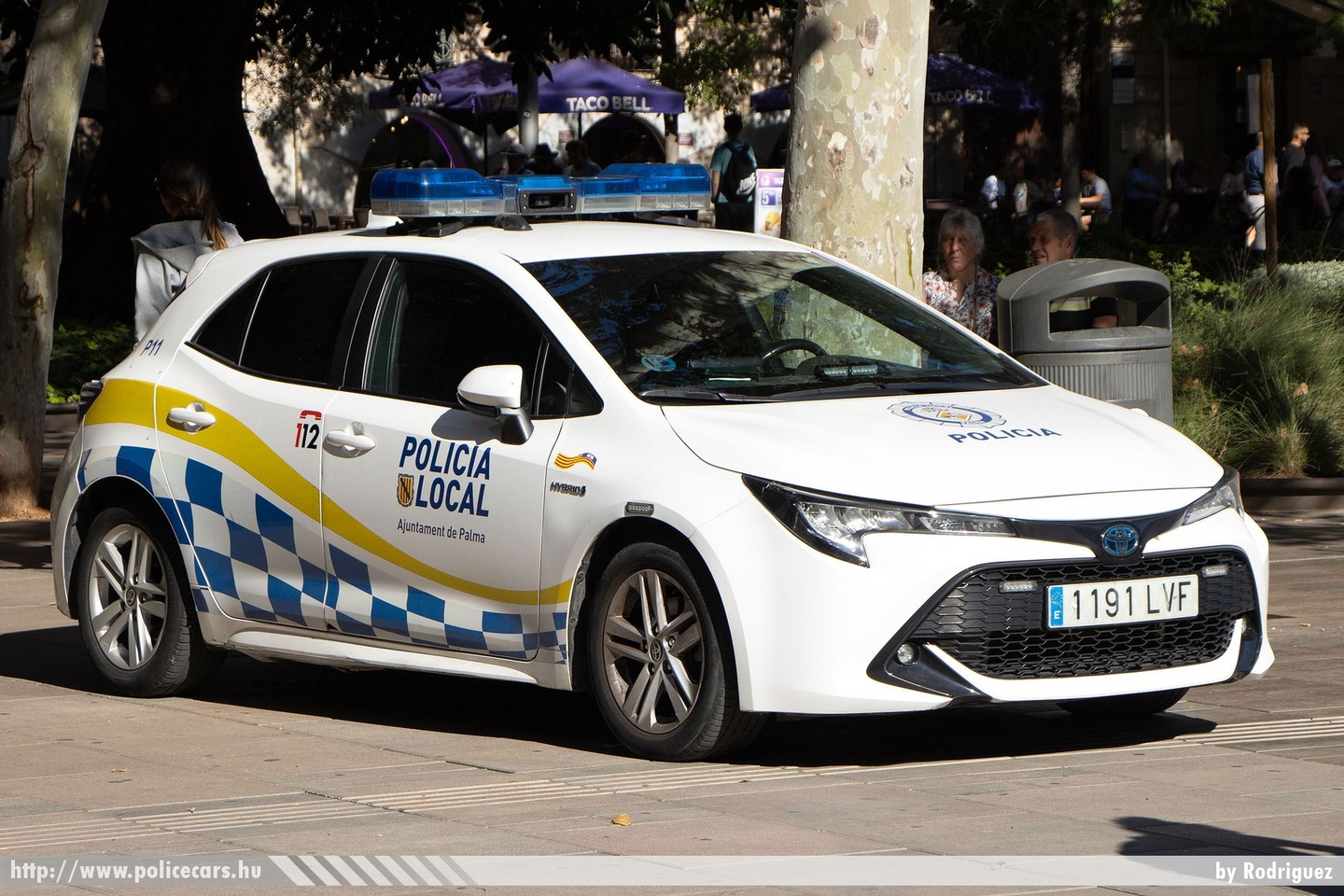 Toyota Corolla Hybrid, Policia Local Ajuntament de Palma, fotó: Rodriguez
Keywords: spanyol Spanyolország rendőr rendőrautó rendőrség police policecar spanish Spain