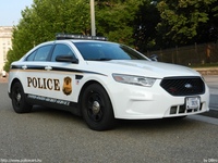 us759.jpg